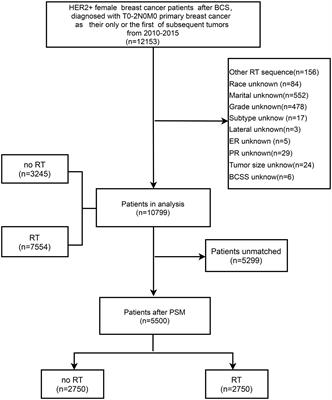 The role of radiotherapy in HER2+ early-stage breast cancer patients after breast-conserving surgery